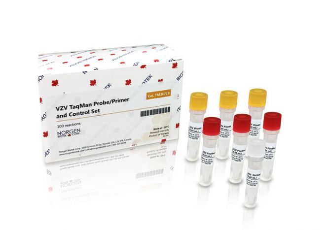 Norgen Biotek Candidatus Liberibacter solanacearum Detection Kit (24 reactions)